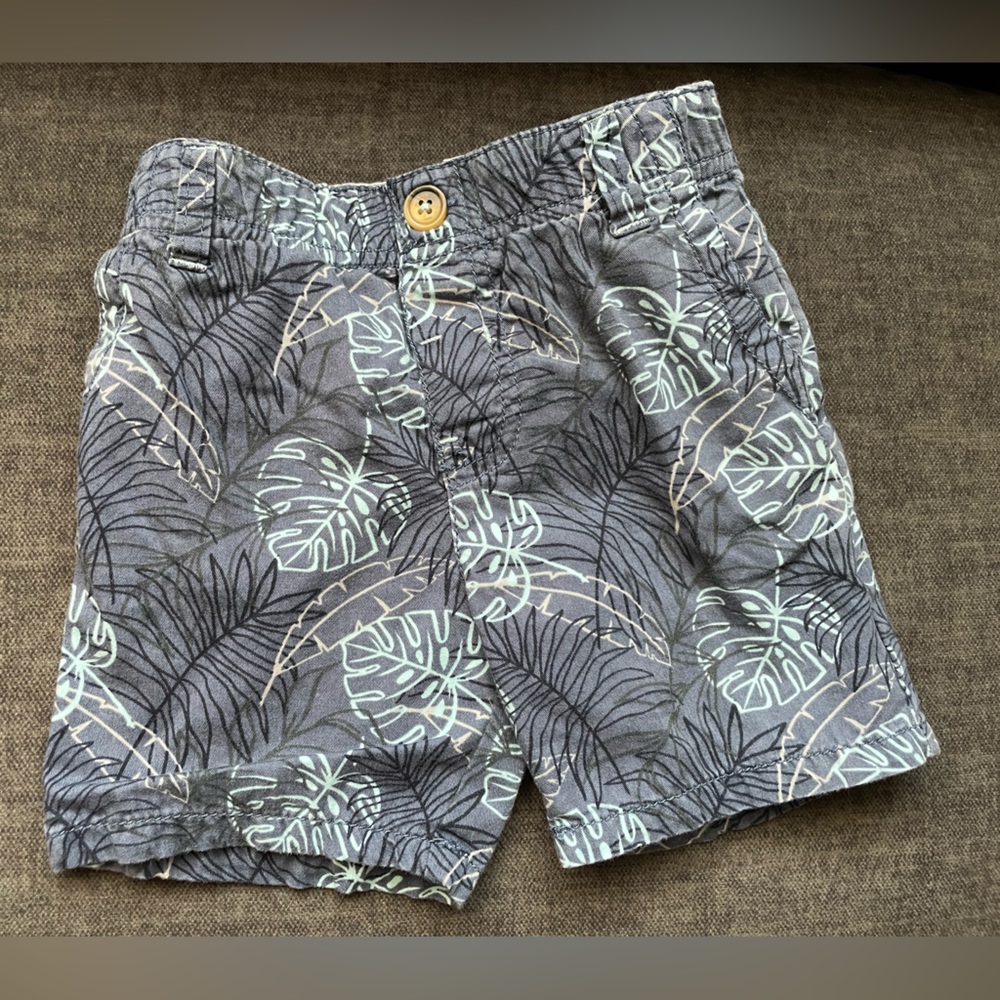 Tommy Bahama palm leaf print shorts.